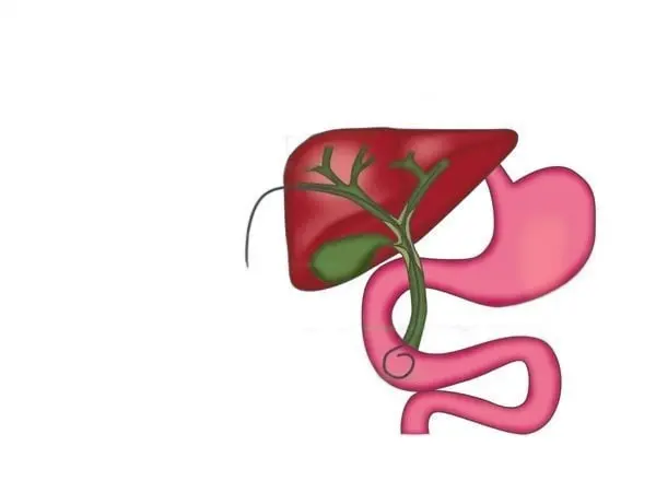 PTC Illustration